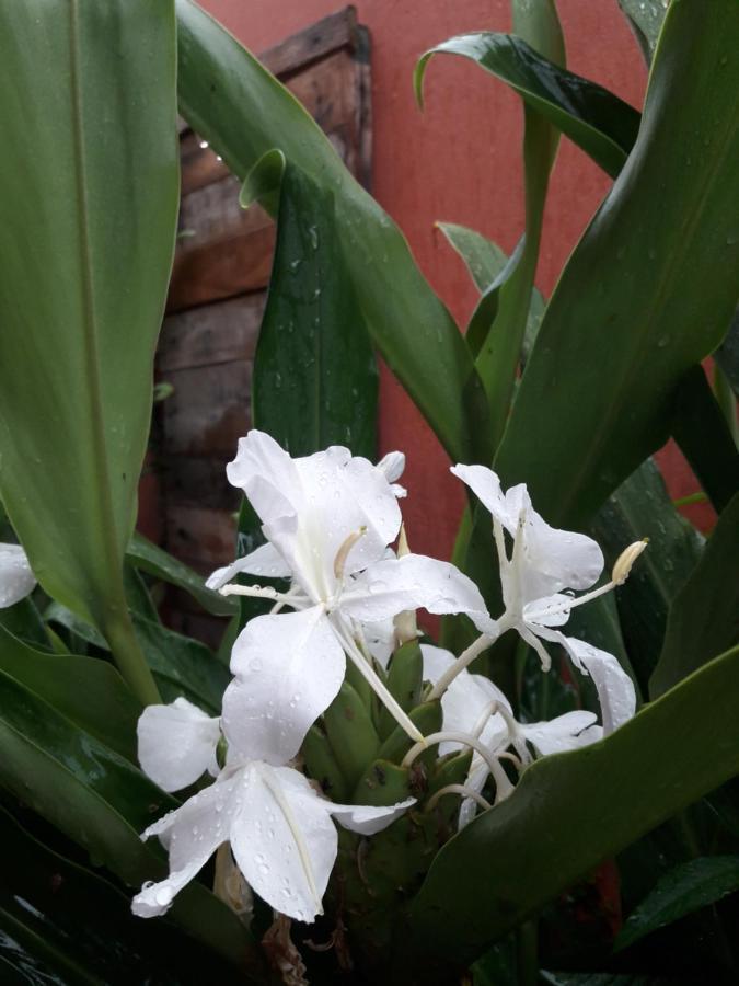 Casa Indaiá BnB Caraguatatuba Exterior foto