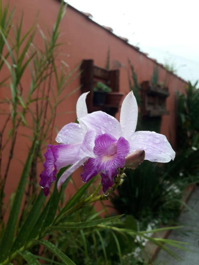 Casa Indaiá BnB Caraguatatuba Exterior foto